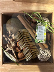 Rain Forest Potpourri Kit